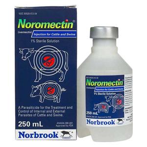 Noromectin Injection Cattle  Swine Norbrook Labs